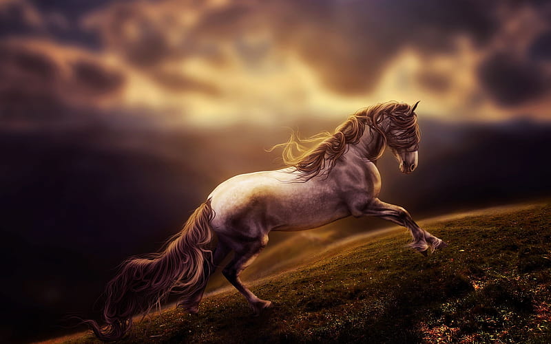 Running horse, wildlife, blur, art, dom, horse, HD wallpaper | Peakpx