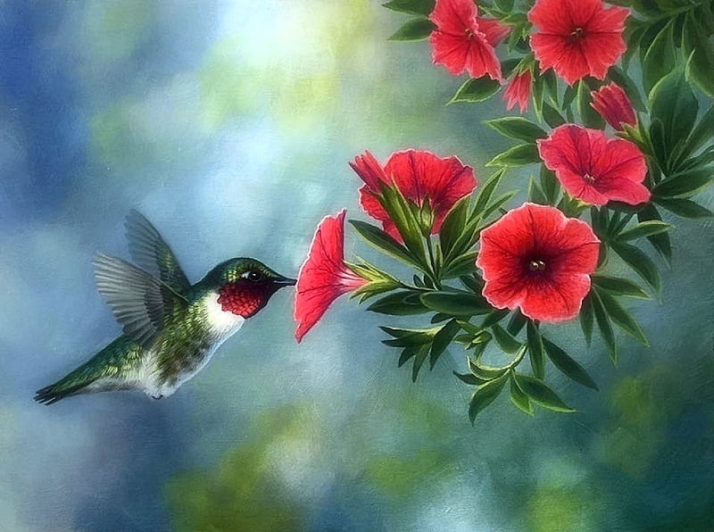 Nectar Collector, love four seasons, birds, spring, hummingbird, paintings, summer, flowers, nature, animals, HD wallpaper