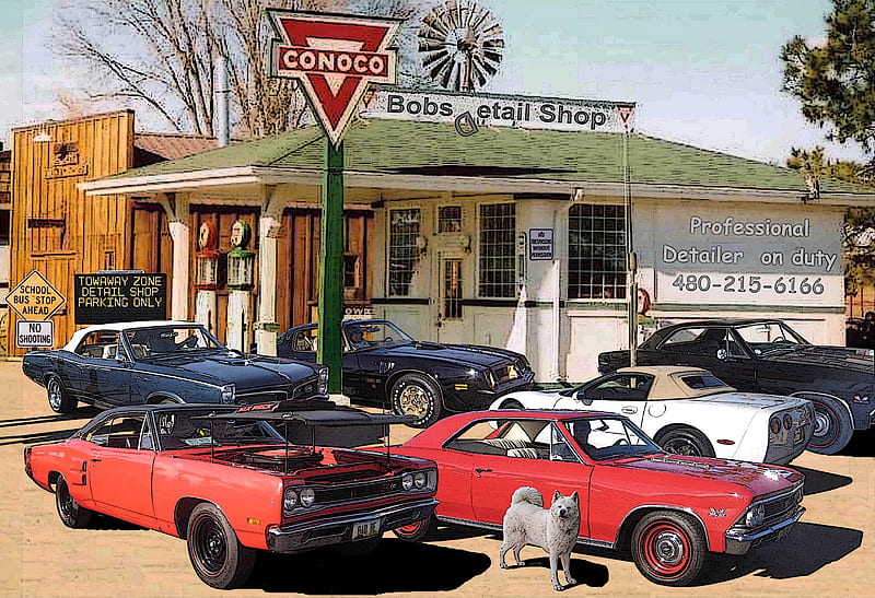 Bob's Detail Shop, carros, detail shop, signs, akita, HD wallpaper