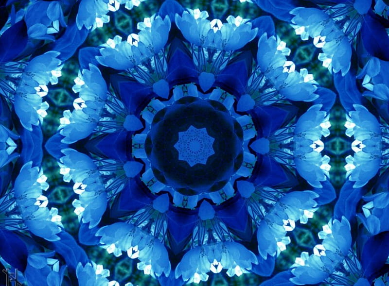 Crystal Flowers, petal centre, white flowers, blue, HD wallpaper
