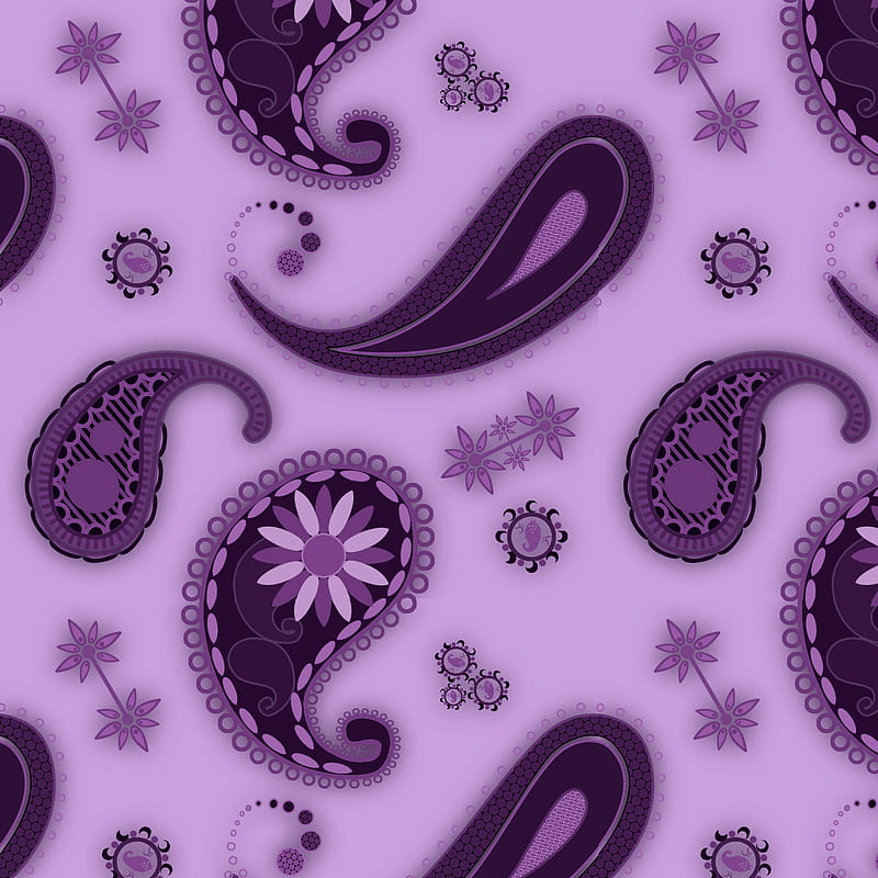 Purple Paisley, chittoor, girls, karmughil, karmughil25, karmughil2576, screen, touch, HD phone wallpaper