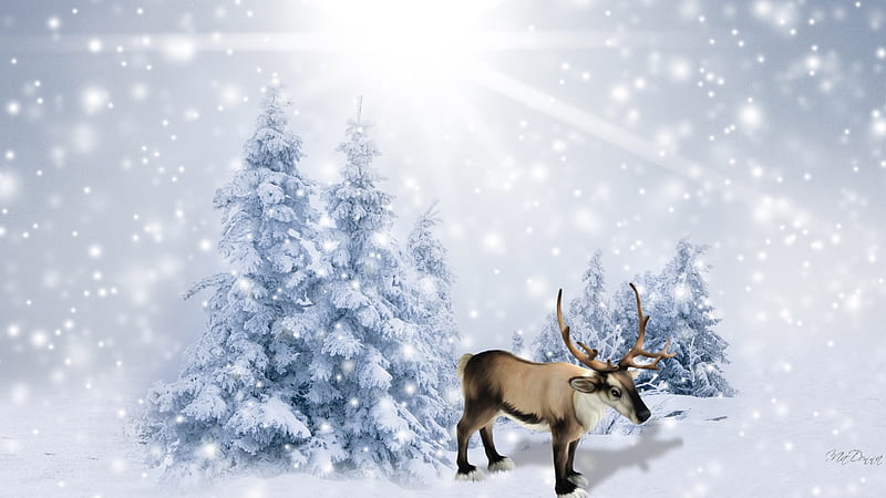 Reindeer in Snowy Forest, north, Christmas, forest, trees, deer