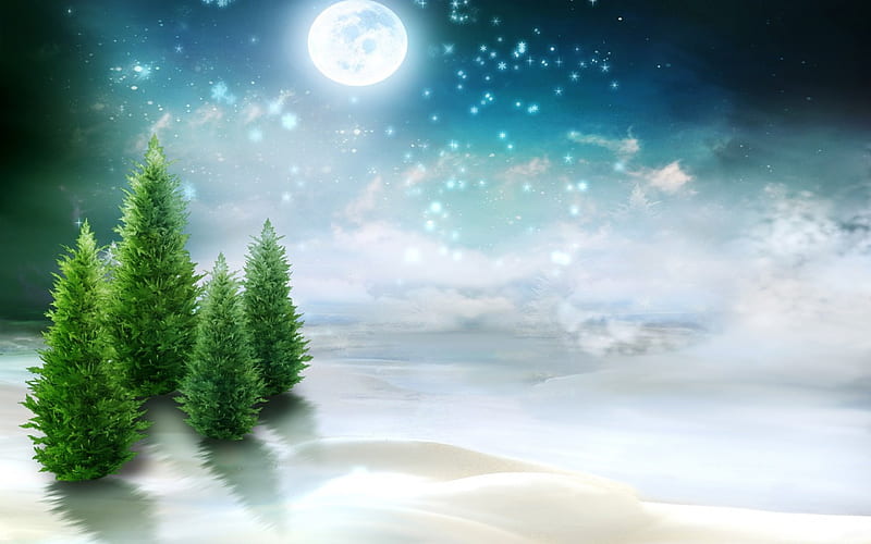 Winter Evergreens at Night, moon, snow, nature, trees, abstract, winter, cold, HD wallpaper