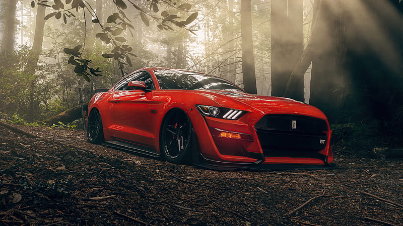 Ford, Ford Mustang GT, Red Car, HD wallpaper | Peakpx