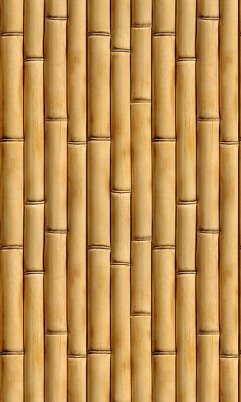 HD bamboo wall wallpapers | Peakpx