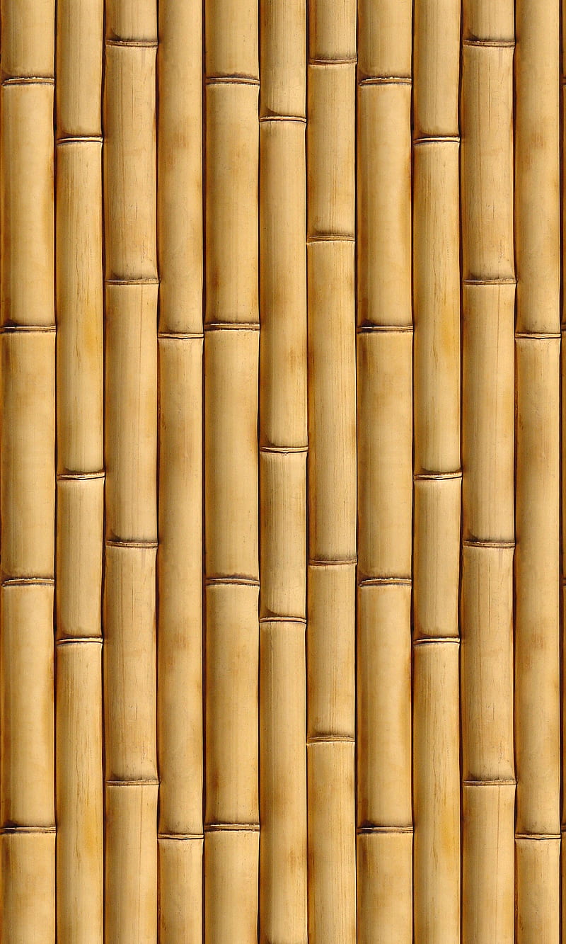 Bamboo Wall, bamboo, color, wall, HD phone wallpaper