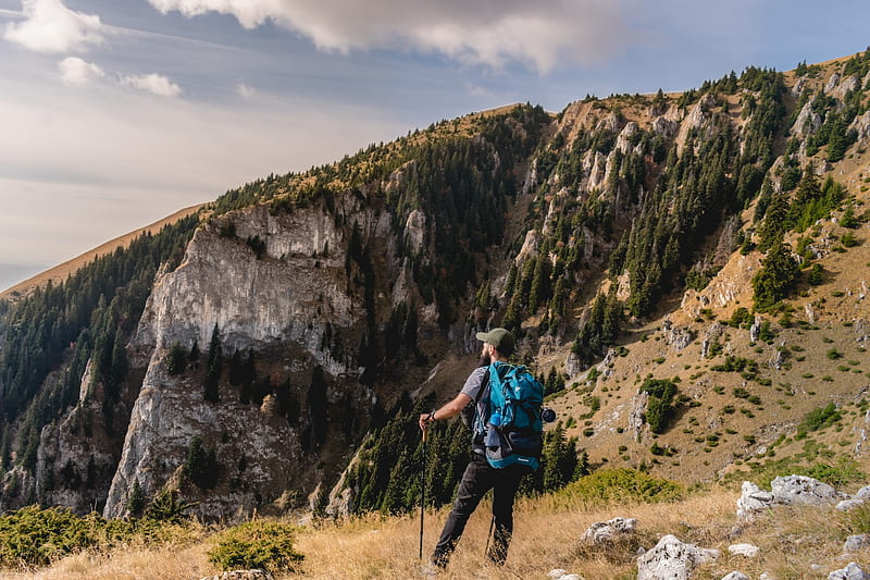 mountain, man, adventurer, hiking, rocks, trees, Landscape, HD wallpaper
