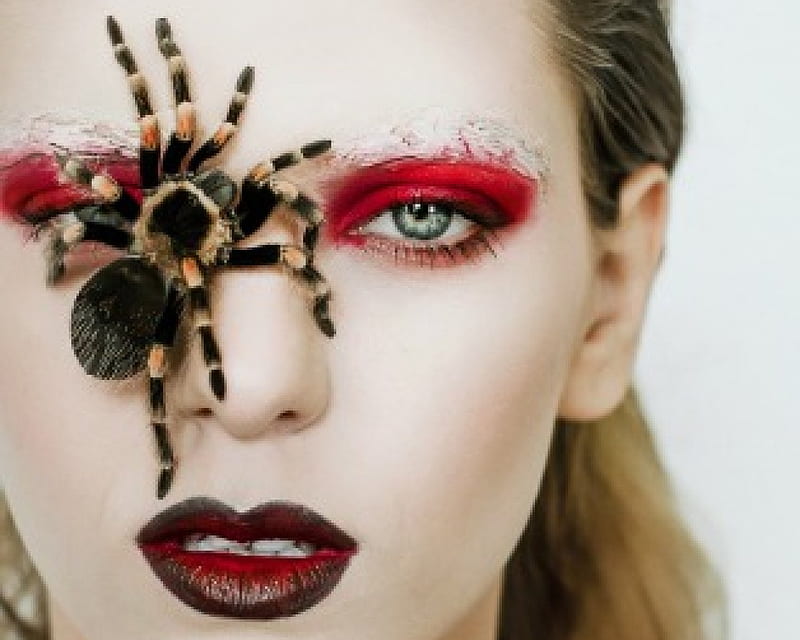 Mujer artística, cara, modelo, araña, maquillaje, Fondo de pantalla HD |  Peakpx