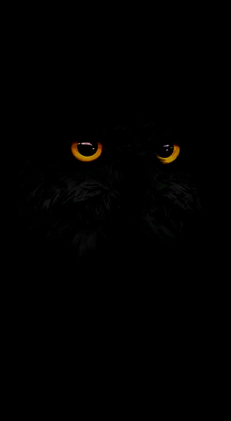 Owl, black, HD phone wallpaper