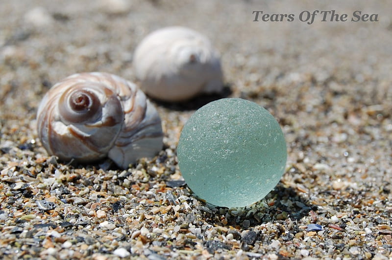 Shells and Sea Glass, Sea, Shells, Glass, Marble, HD wallpaper