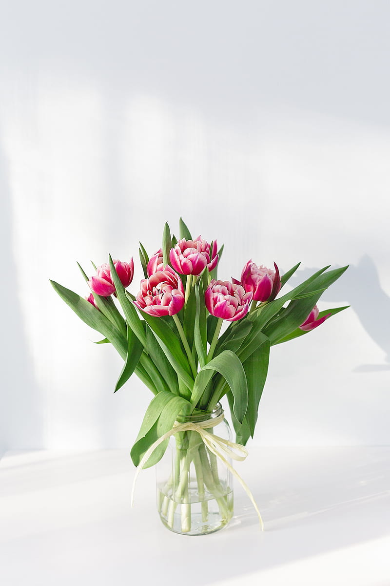 pink petaled flower centerpiece in clear glass vase, HD phone wallpaper