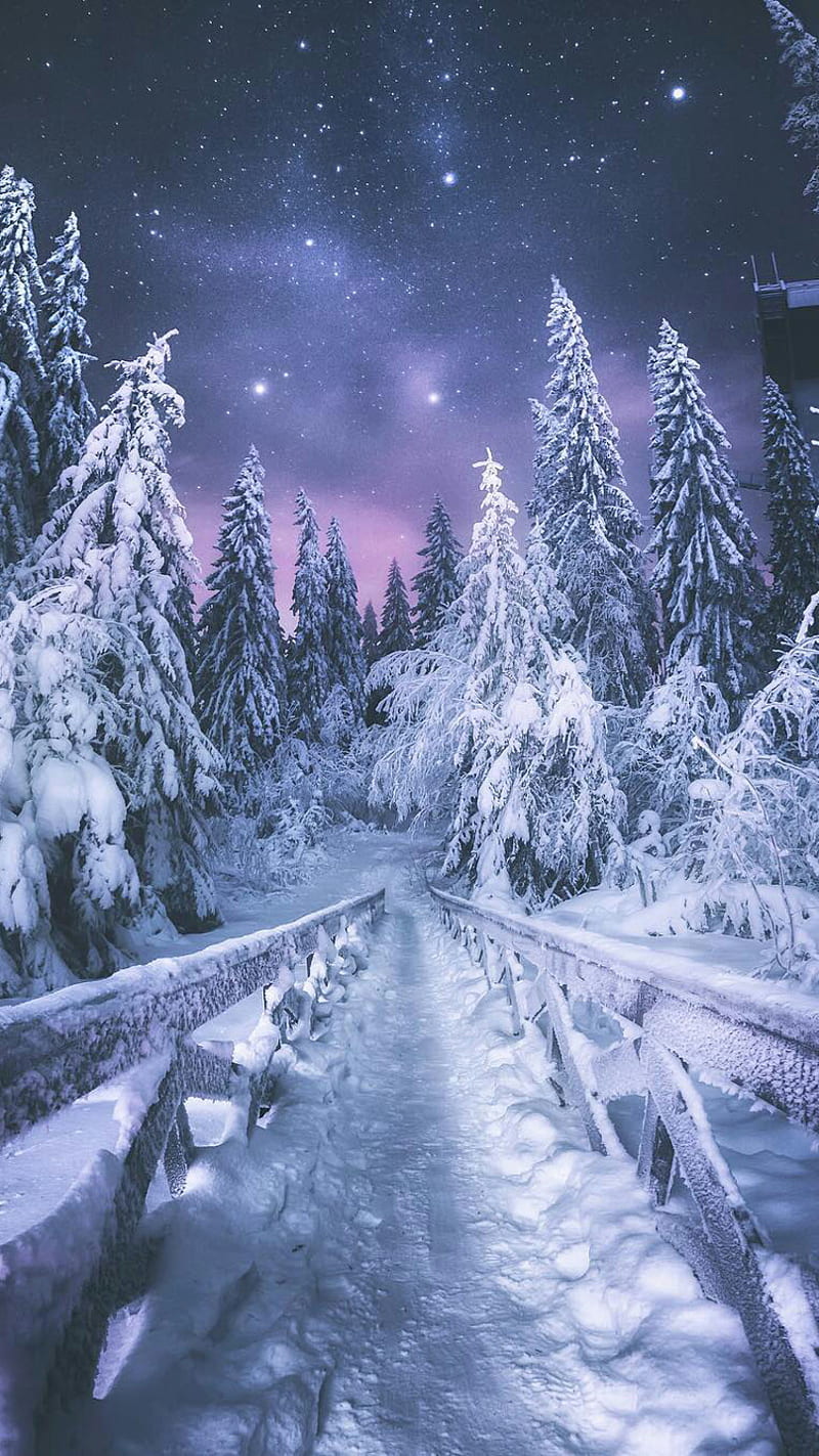 Snow Path, forest, nature, night, track, trees, winter, HD phone wallpaper