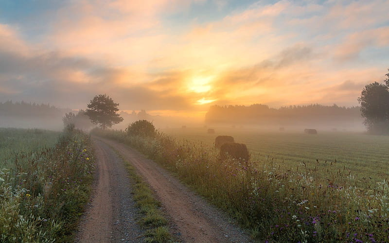 Summer Morning in Latvia, Latvia, sunrise, road, field, mist, HD wallpaper