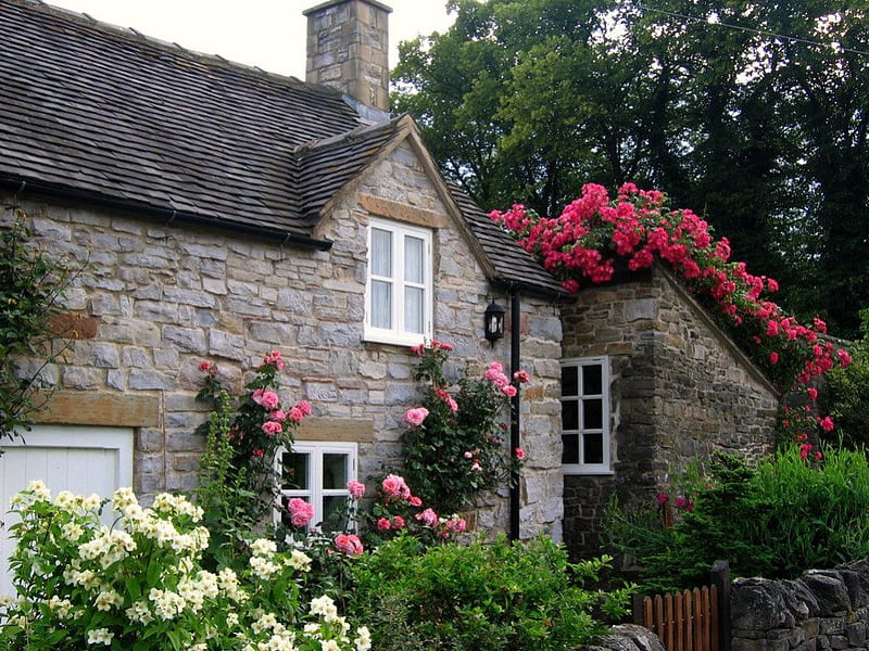 cottage with roses in the village of Thorpe, stone, cottage, village, bonito, roses, old, HD wallpaper