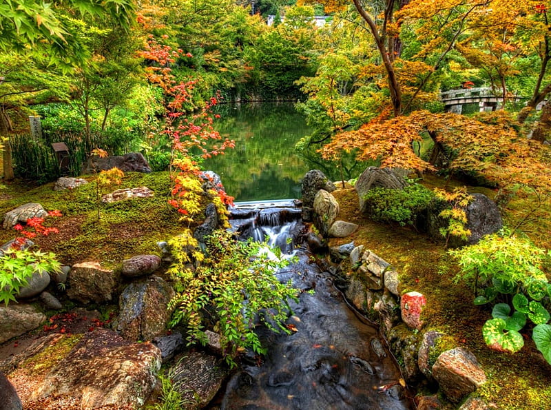 Early autumn, stream, fall, colorful, autumn, shore, falling, bonito, foliage, leaves, nice, calm, green, river, reflection, forest, lovely, early, park, creek, trees, serenity, summer, nature, HD wallpaper
