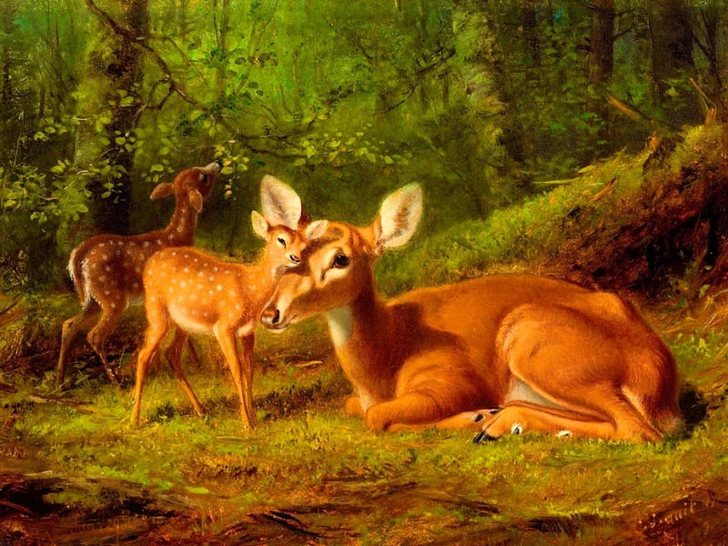 Mother's love, family, forest, art, bonito, mother, deer, love, painting, child, roe, animals, HD wallpaper