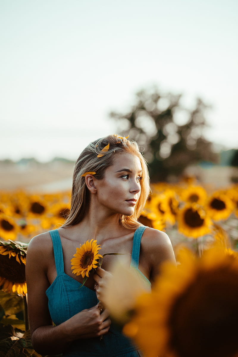 women, looking away, blonde, sunflowers, HD phone wallpaper