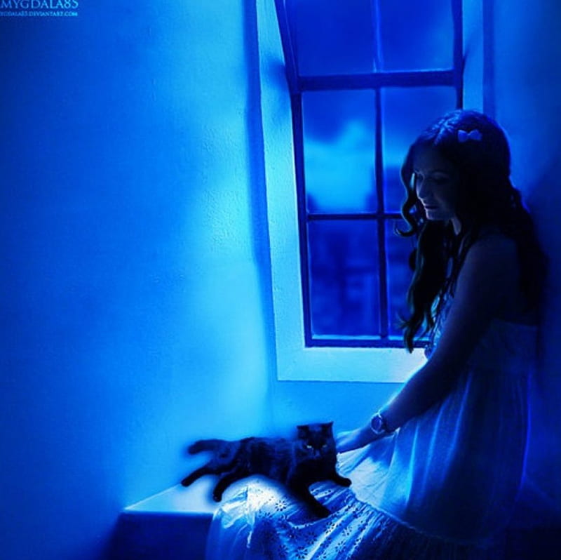 Perfect Moment, fantasy, lady, cat, blue, HD wallpaper Perfect Moment, fantasy, lady, cat, blue, HD wallpaper