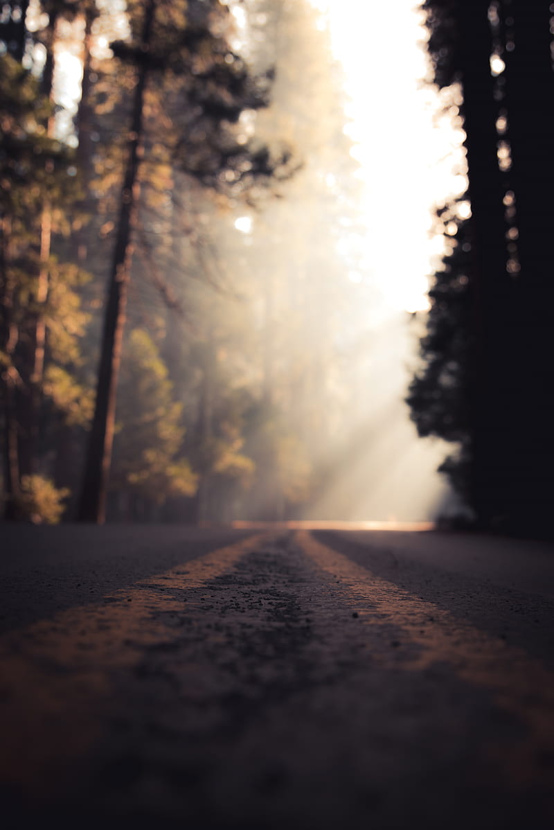 low angle view of road in mist, HD phone wallpaper