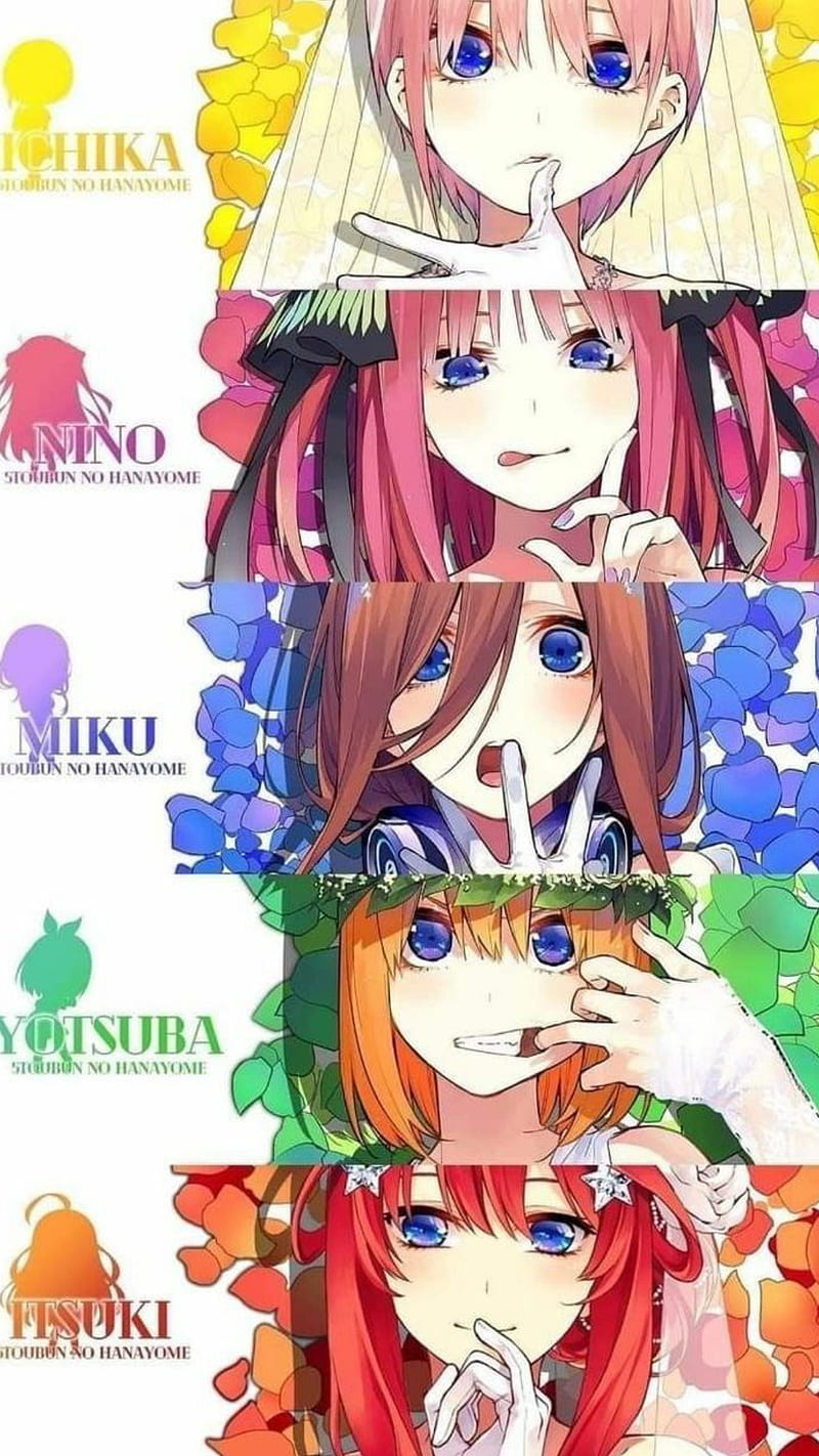 HD the quintessential quintuplets wallpapers  Peakpx