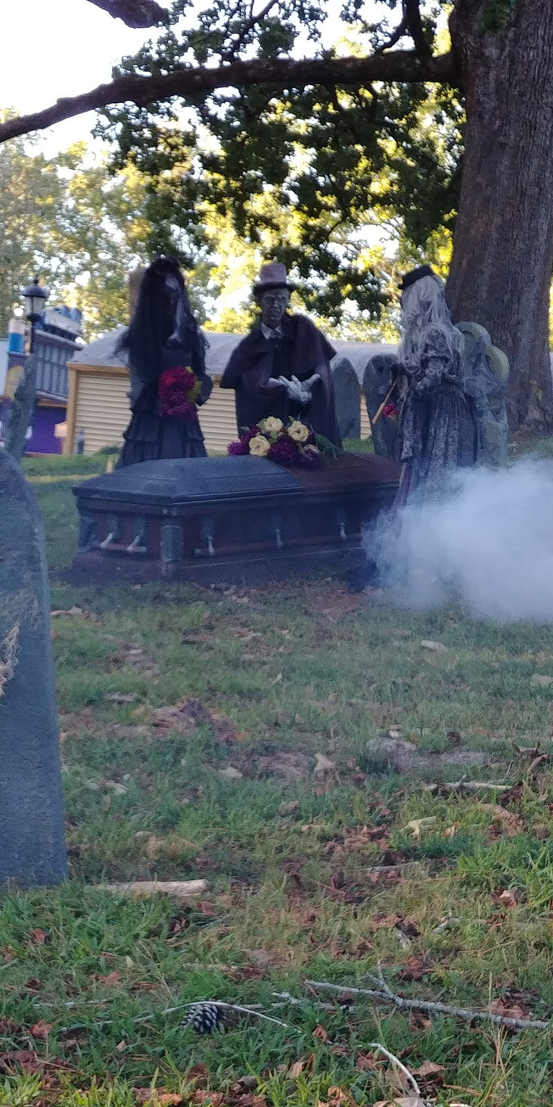 The walking dead, creepy, death, grave yard, halloween, skeleton, spooky, HD phone wallpaper