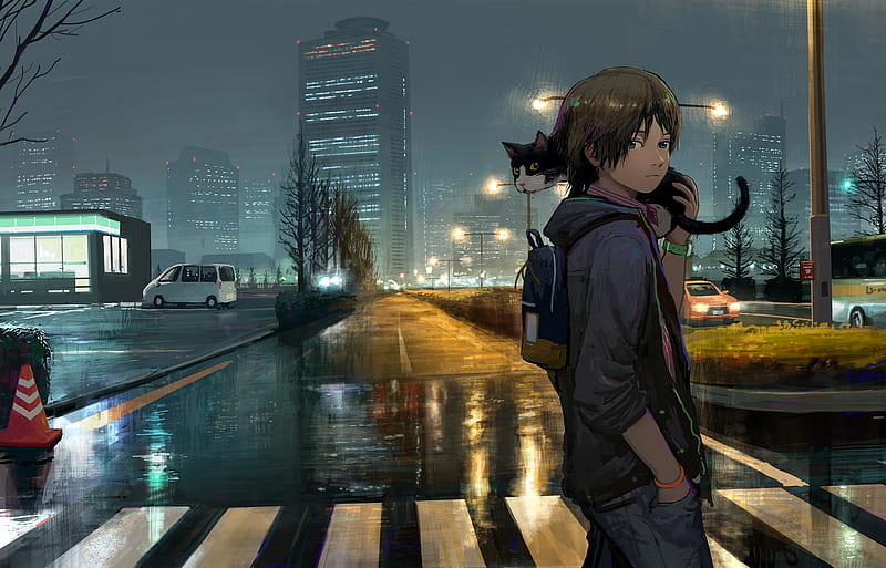 anime boy, streets, cat, walking, night, buildings, urban, scenic, Anime, HD wallpaper