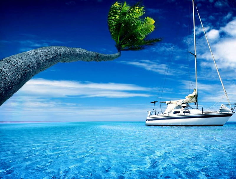 Yacht on the Deep Blue Sea, tree, boat, yacht, ocean, palm, sea, blue, sail, HD wallpaper