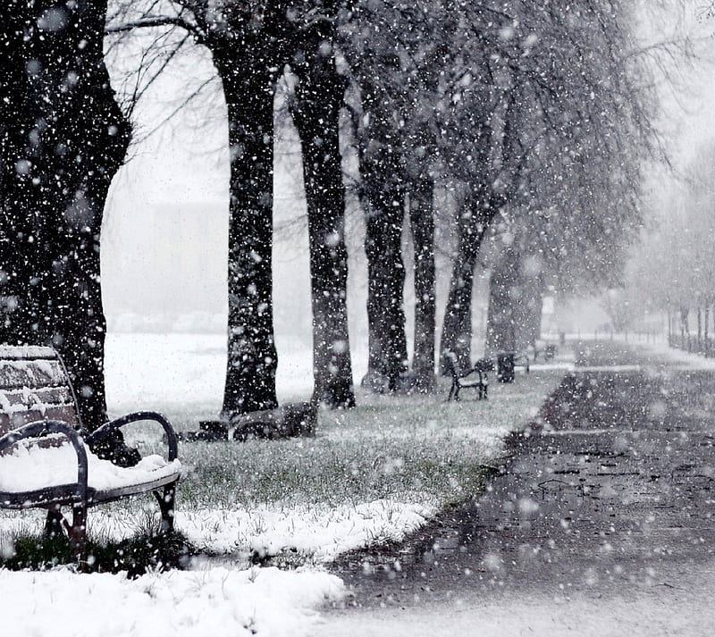 Winter Park, bench, road, snowy, trees, HD wallpaper
