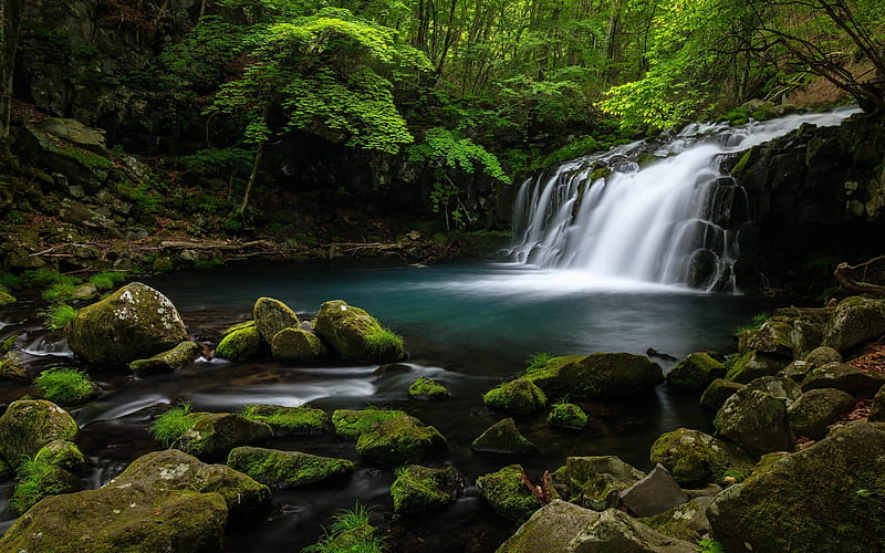 beautiful waterfall, forest lake, river, forest, green trees, summer, jungle, HD wallpaper