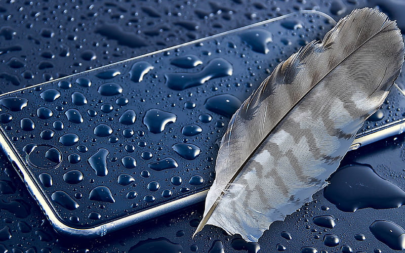 4K free download | Applefeather, feather, feathers, pen, HD wallpaper