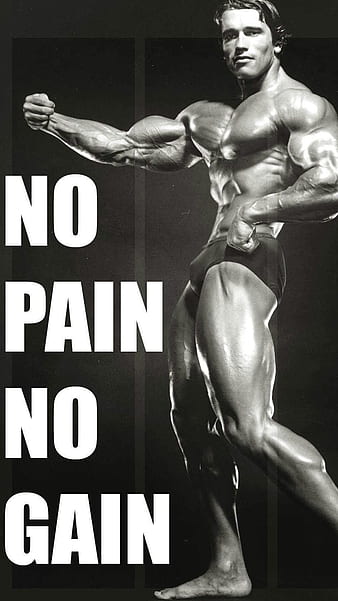 Best Motivation, Arnold Schwarzenegger, arnold, arnold schwarzenegger pose,  no pain no gain, HD phone wallpaper | Peakpx