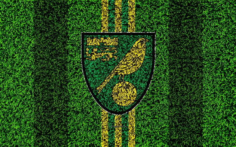 Norwich City FC football lawn, logo, emblem, English football club, green yellow lines, Football League Championship, grass texture, Norwich, UK, England, football, HD wallpaper