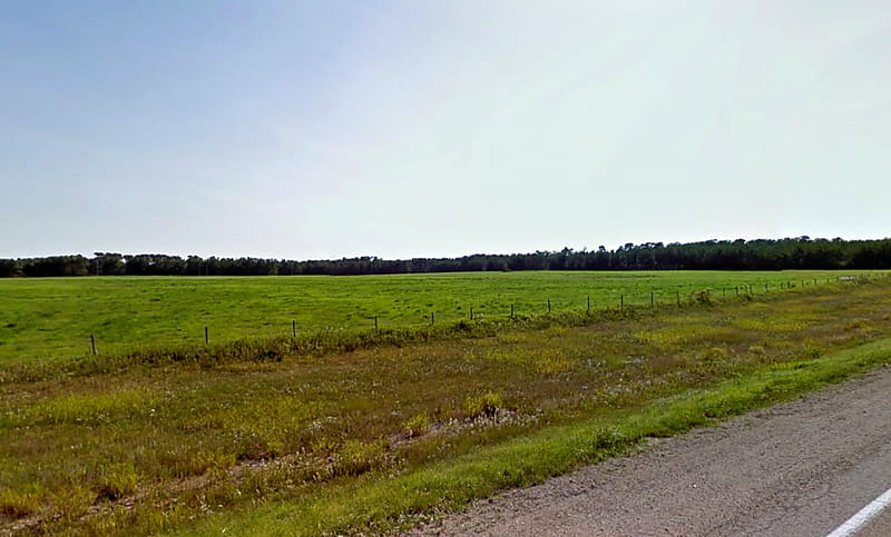 Fields in Manitoba, green, grass, sky, field, canada, HD wallpaper