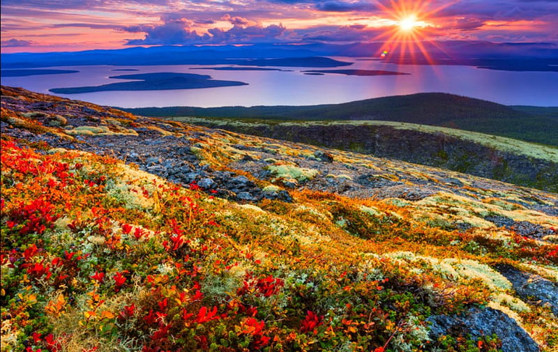 Beautiful sunrise, mountain, flowers, nature, sunshine, sky, HD wallpaper