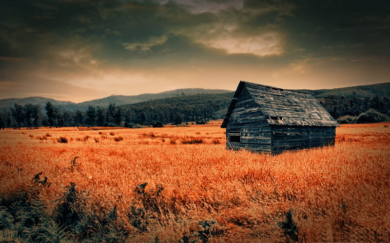 lonely countryside-Creative Design, HD wallpaper