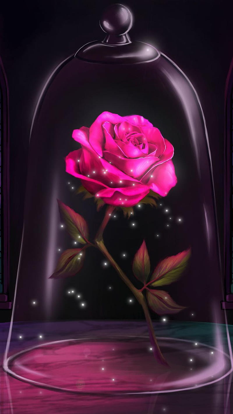 beauty and the beast background rose
