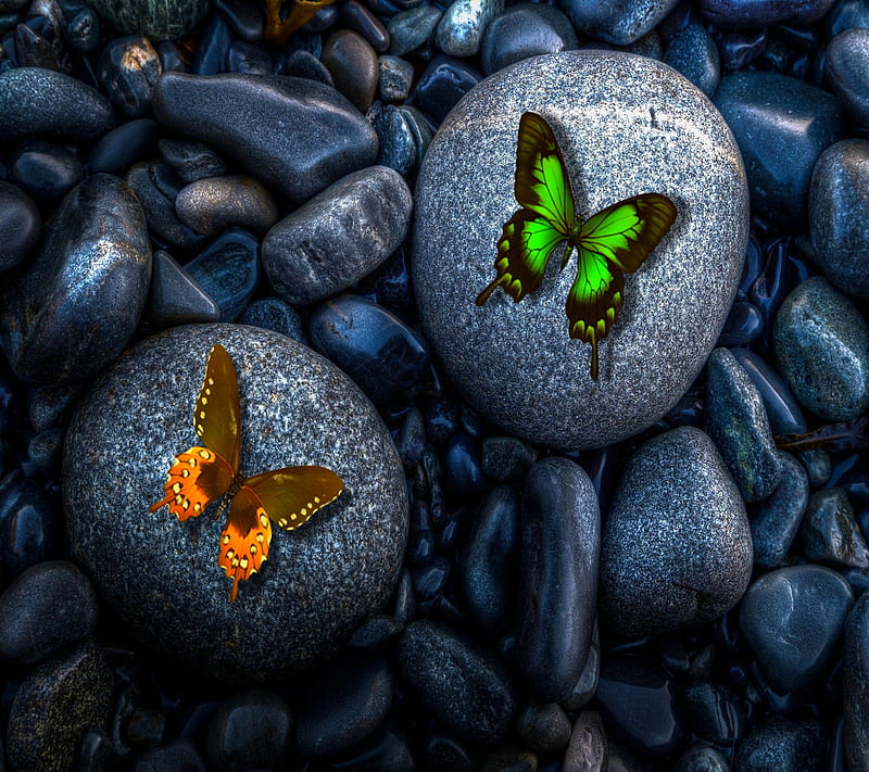Butterfly, stone, HD wallpaper | Peakpx