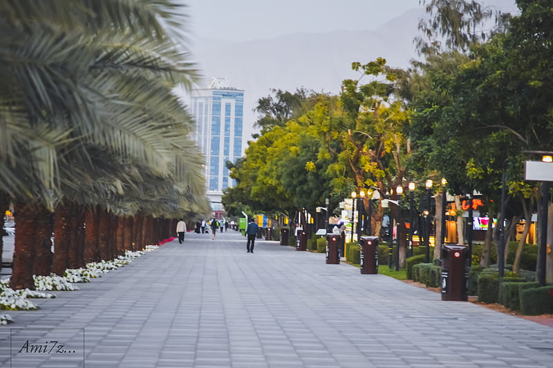 Walkway, corniche, rak, ras al khaimah, trees, street, usa, style, HD ...