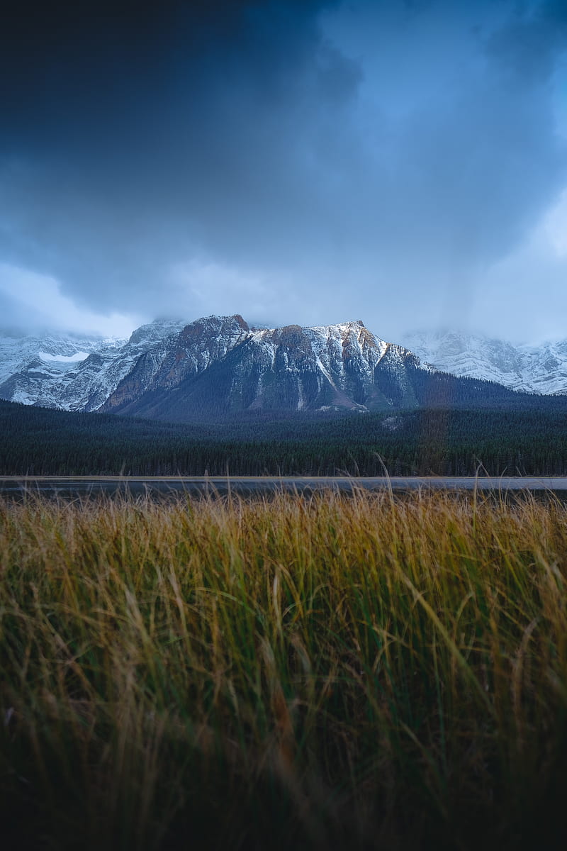 mountains, snowy, grass, road, HD phone wallpaper