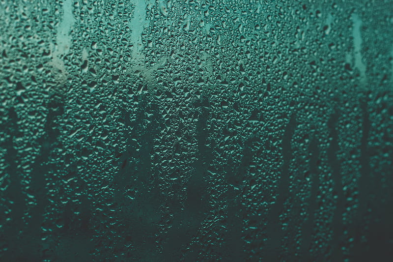 drops, moisture, rain, glass, surface, liquid, HD wallpaper
