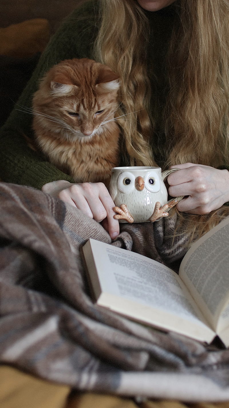 Storytime, Sleepy, book, cat, coffee, cozy, cup, ginger, kitten, reading, tea, HD phone wallpaper