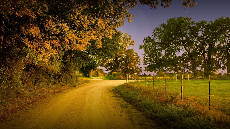 Country road , Trees, Green, Full , Country, Fence, Road, HD wallpaper