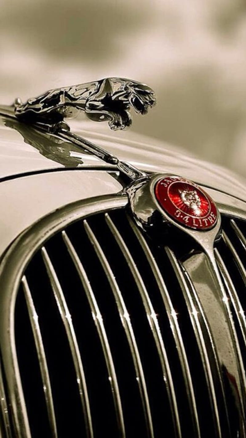 Jaguar, car, muscle, HD phone wallpaper | Peakpx
