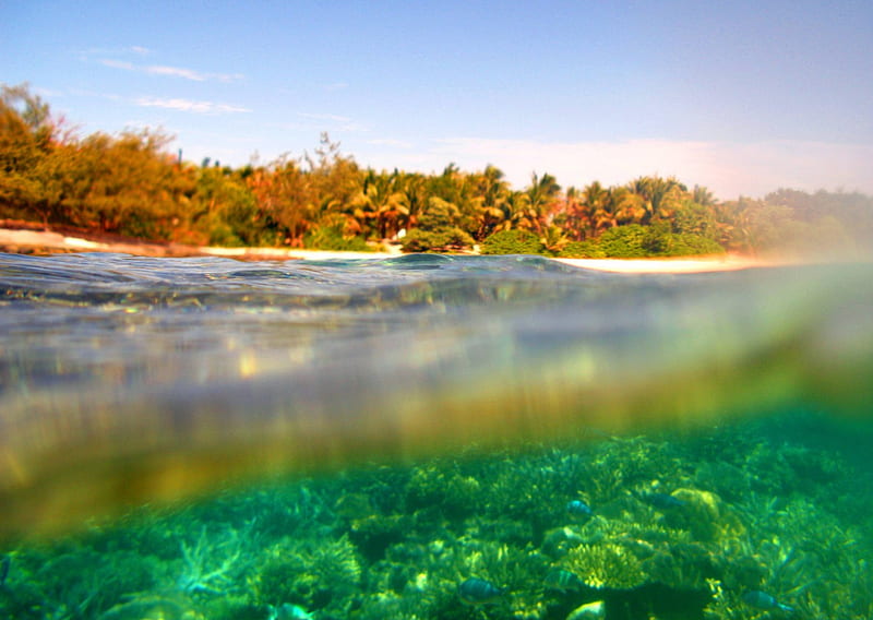 Under the Lagoon - Tahiti, polynesia, reef, snorkel, sea, beach, lagoon, sand, underwater, exotic, islands, ocean, coral, under, paradise, island, tahiti, tropical, HD wallpaper