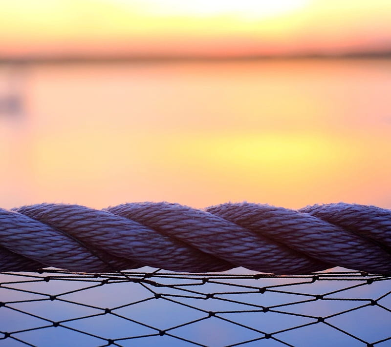 macro rope wire, evening, lights, new, rope, s3, s5, HD wallpaper