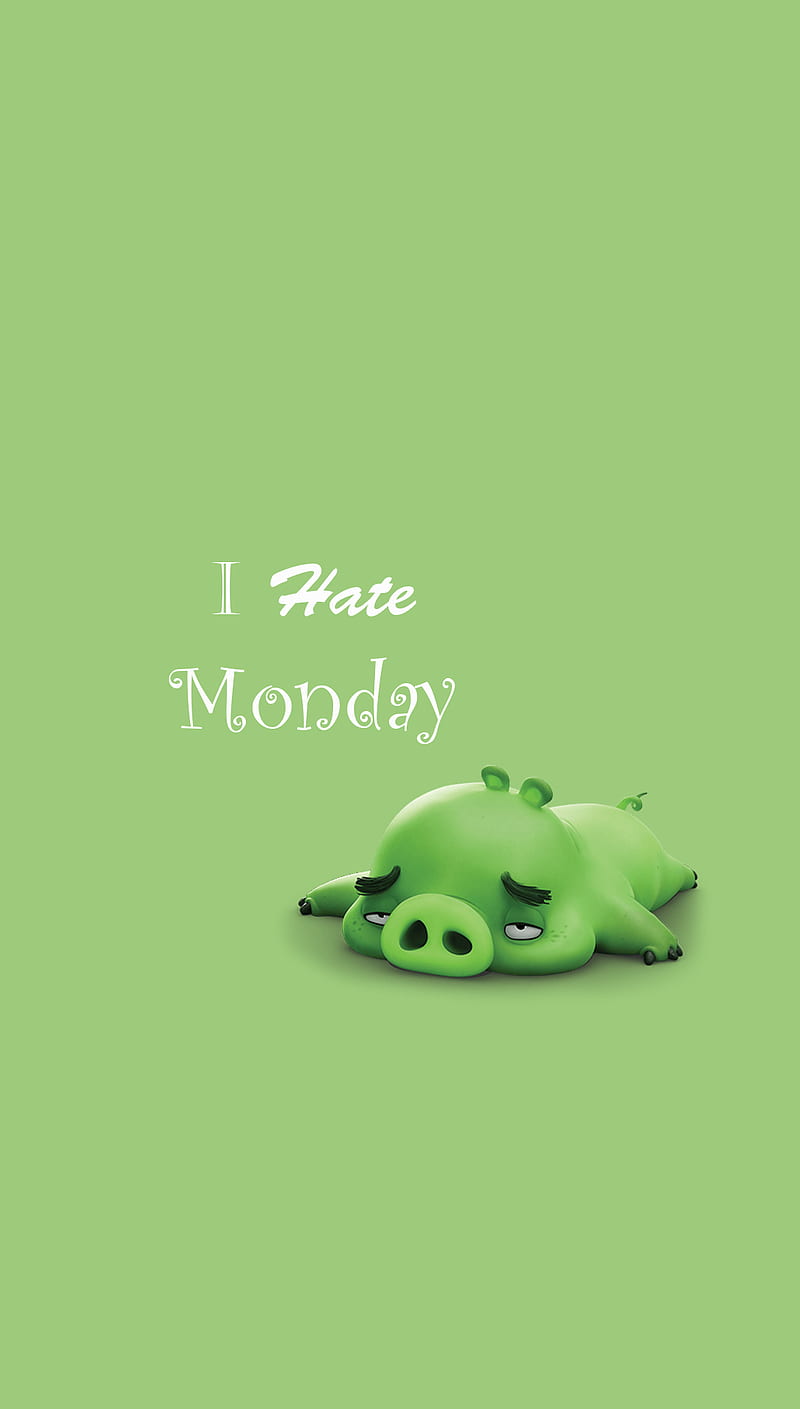 I Hate Monday, angry birds, bored, movies, piggy, HD phone wallpaper
