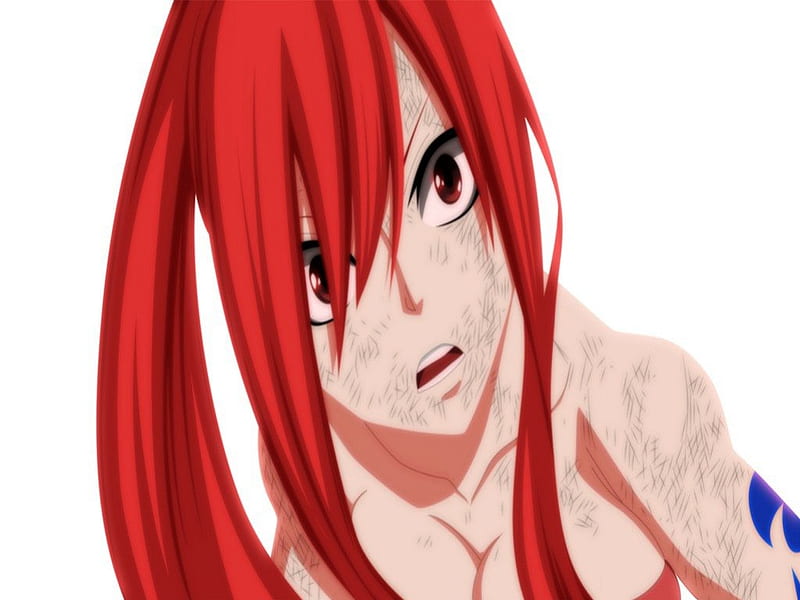 4531206 Fairy Tail, Scarlet Erza, anime - Rare Gallery HD Wallpapers