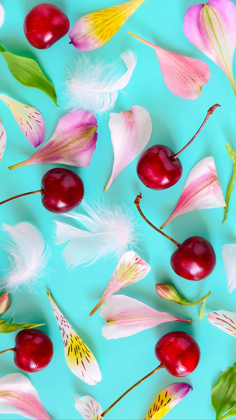 Cherry, flowers, food, fruit, leaves, HD phone wallpaper