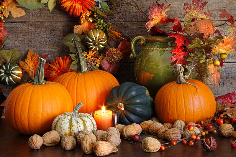 Thanksgiving still life, candle, pretty, colorful, fall, autumn, holiday, halloween, decoration, bonito, still life, leaves, season, pumpkins, HD wallpaper