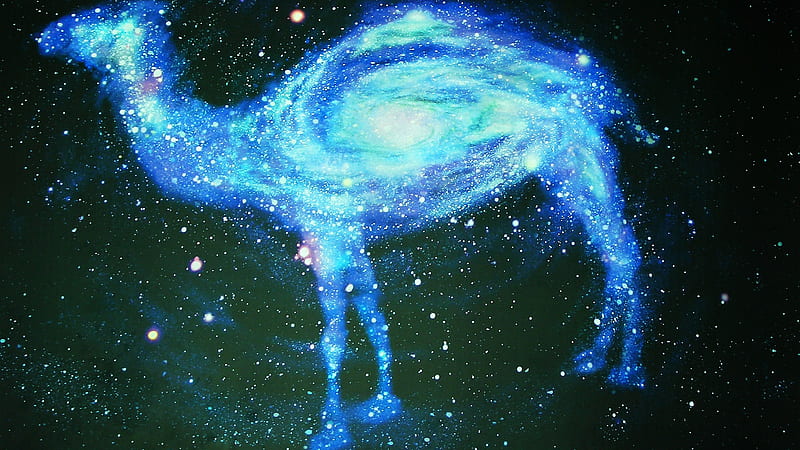 Glittering Blue And Green Stars Galaxy Like Camel Space, HD wallpaper